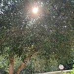 فيلة Villa In Corfu Near Porto Timoni Beach Afión