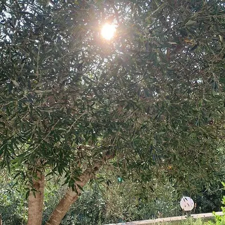 וילה Villa In Corfu Near Porto Timoni Beach Afión