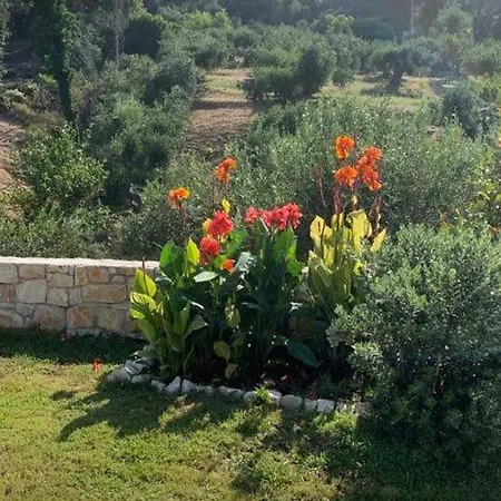 Villa Villa In Corfu Near Porto Timoni Beach