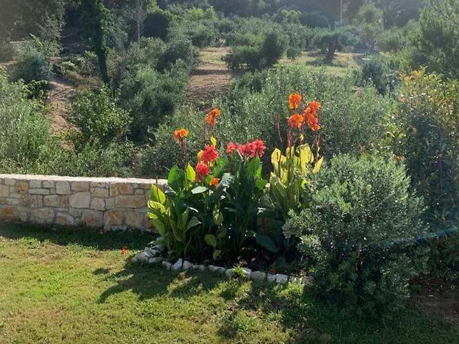 Willa Villa In Corfu Near Porto Timoni Beach