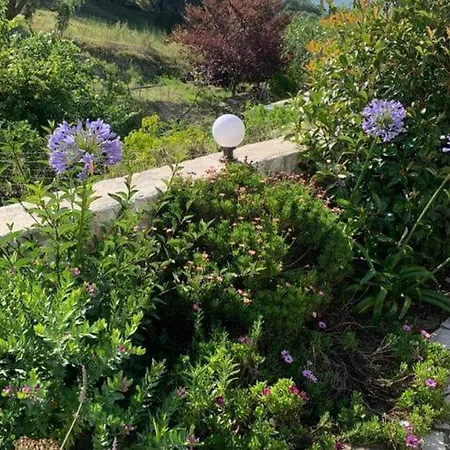 Villa Villa In Corfu Near Porto Timoni Beach Afionas